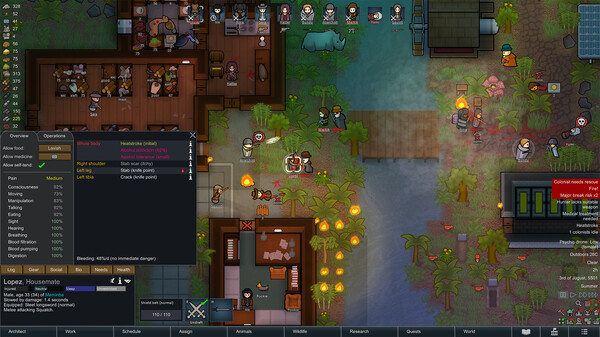 RimWorld PC Game Full Free