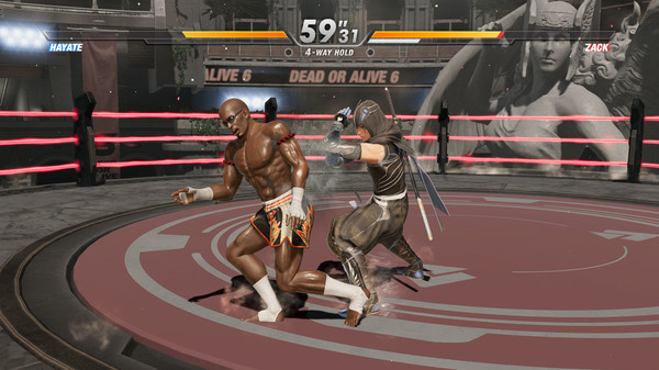 DEAD OR ALIVE 6 PC Game
