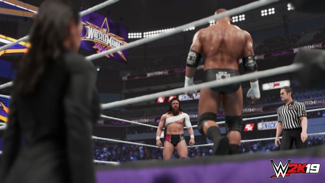 Download WWE 2K19 PC Game