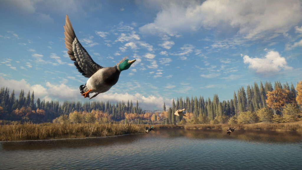The Hunter Call Of The Wild PC Game 